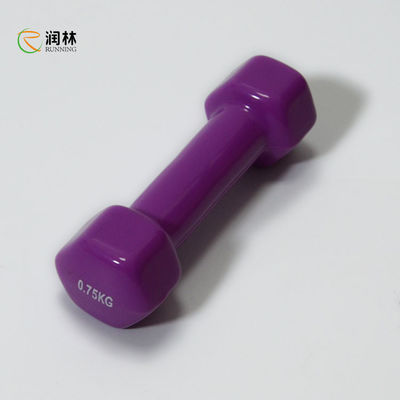 Neon 5lb Free Weight Dumbbells Set For Women Men Training Exercise